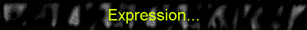 Expression...